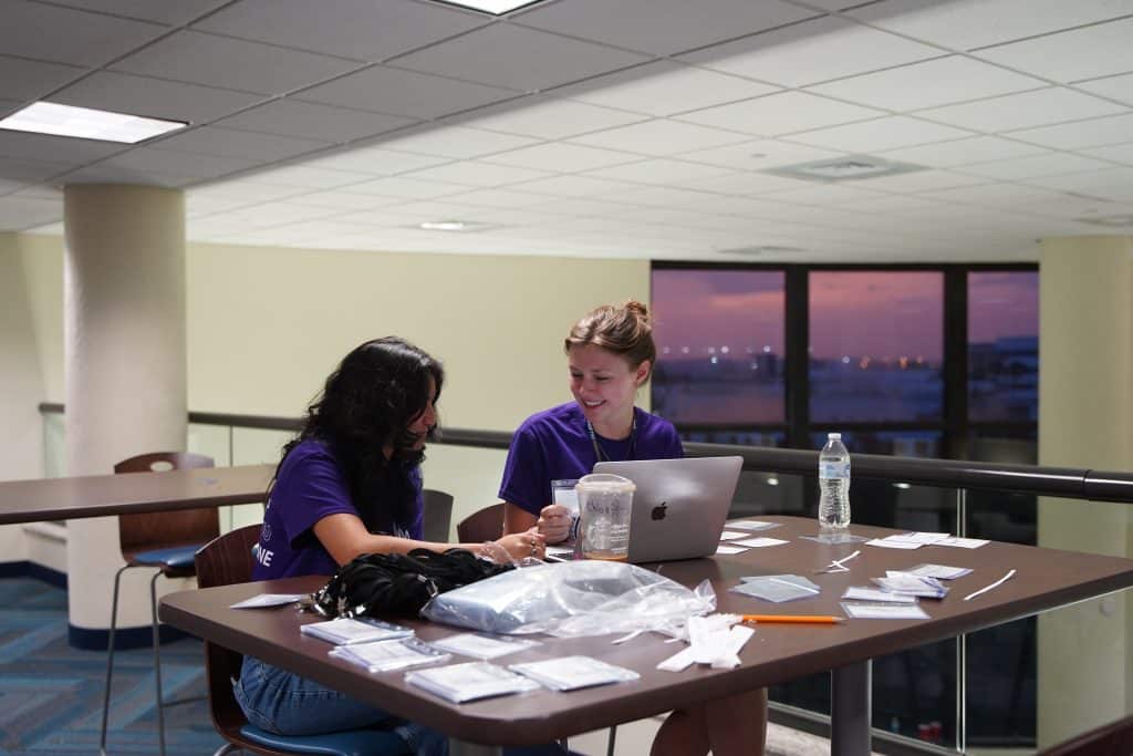 Two NVEEE interns working on laptops with program materials